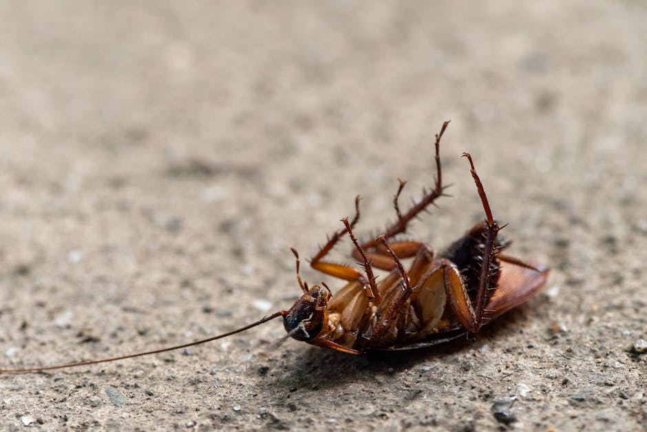 Other Pests — Managing Centipedes and Millipedes in and Around Your