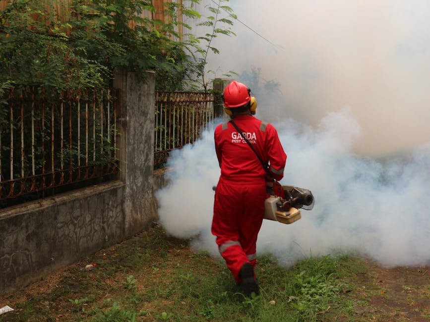 Professional Pest Control — Professional Pest Control vs. DIY Pest Control: Making