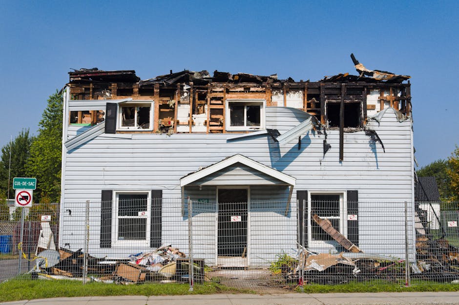 Termites — What Attracts Termites to Your House: A Comprehensive