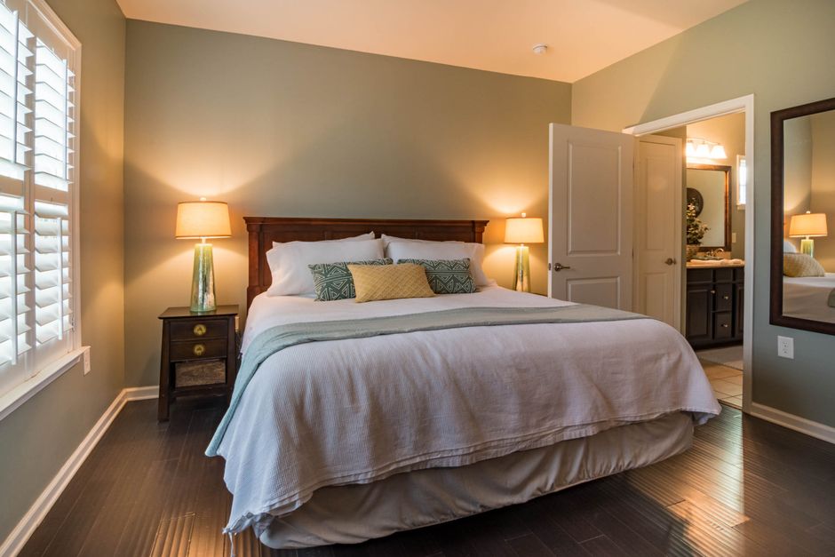 Bed Bugs — Bed Bug vs Carpet Beetle: The Visual Differences
