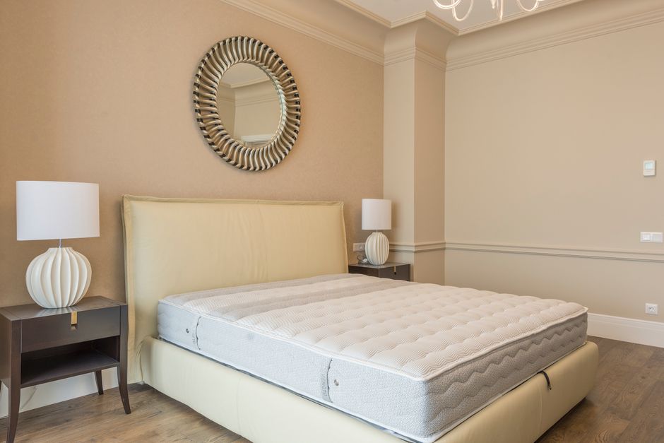 Bed Bugs — Understanding and Eradicating Bed Bugs