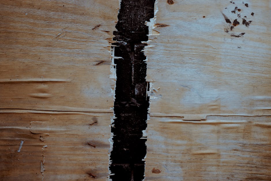 Termites — Safeguarding Your Home: How to Prevent Termites from