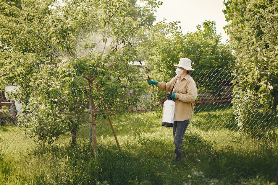 Chemical Safety — How to Read a Pesticide Label Before You