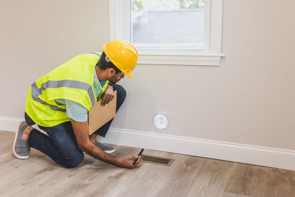 Other Pests — Pest Identification for Renters: What to Do When