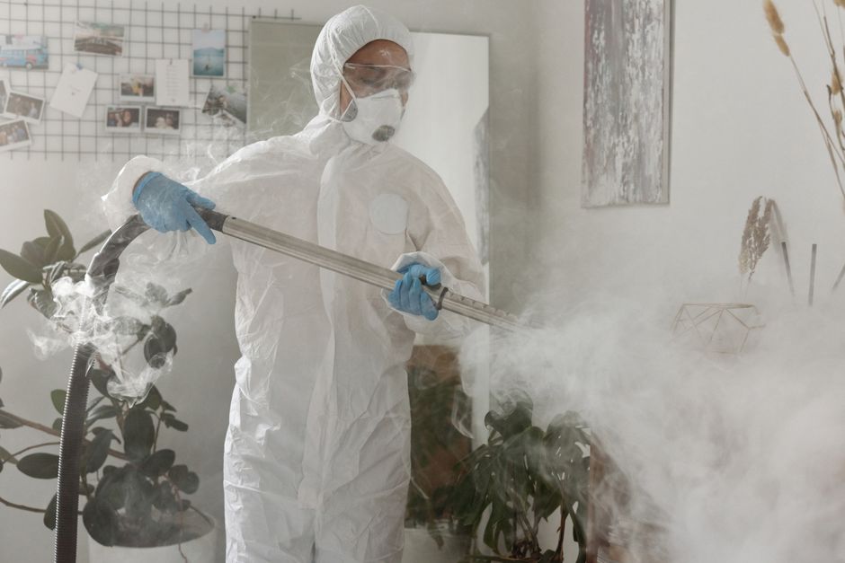 Other Pests — Pest Inspection Checklist for Property Managers: A Unit-by-Unit