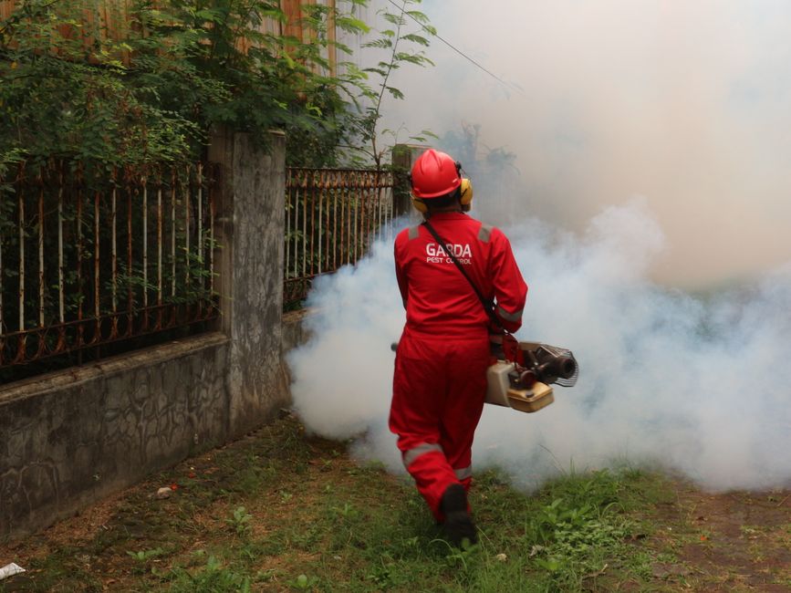 Professional Pest Control — The Essential Guide to Residential Pest Control Services