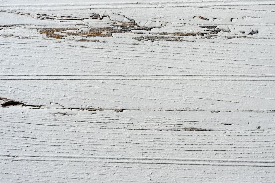 Termites — Unmasking the Silent Destroyers: Signs of Termite Infestation