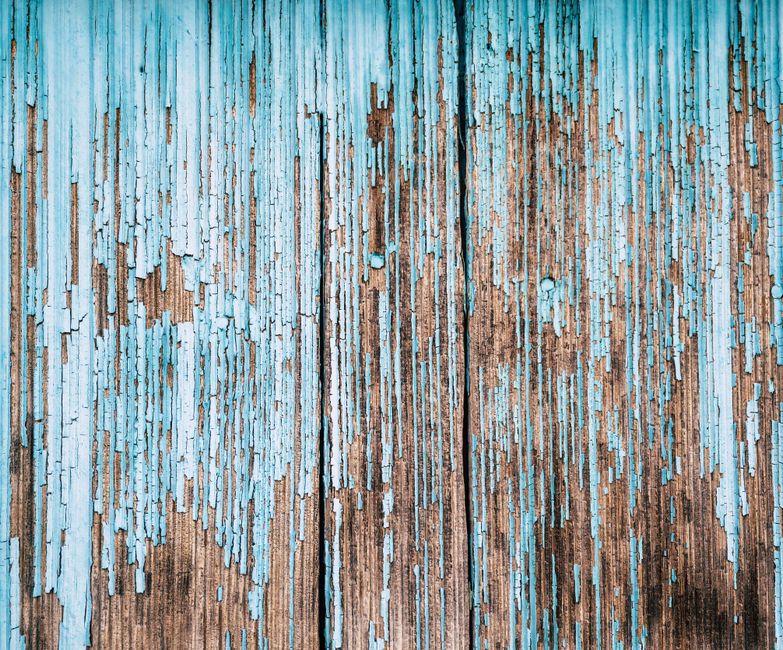 Termites — Subterranean Termites vs Drywood Termites: How to Identify