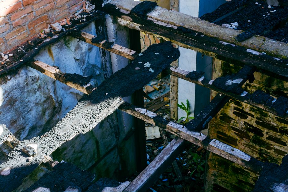 Termites — Your Essential Termite Inspection Checklist for Homeowners