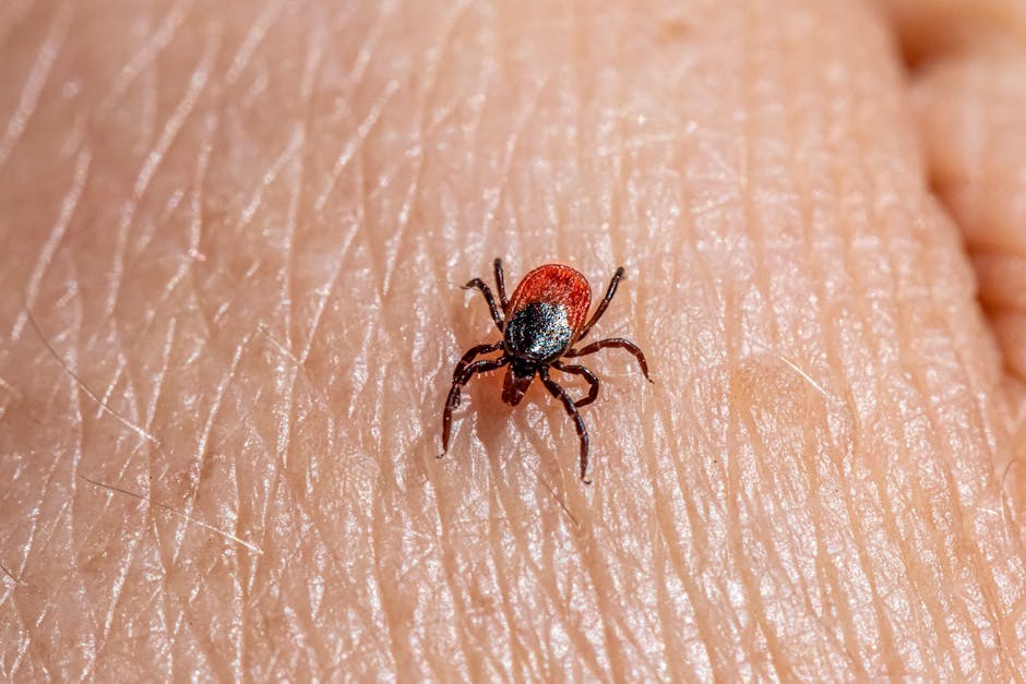 Other Pests — What Bit Me at Night? Identifying Mystery Bites