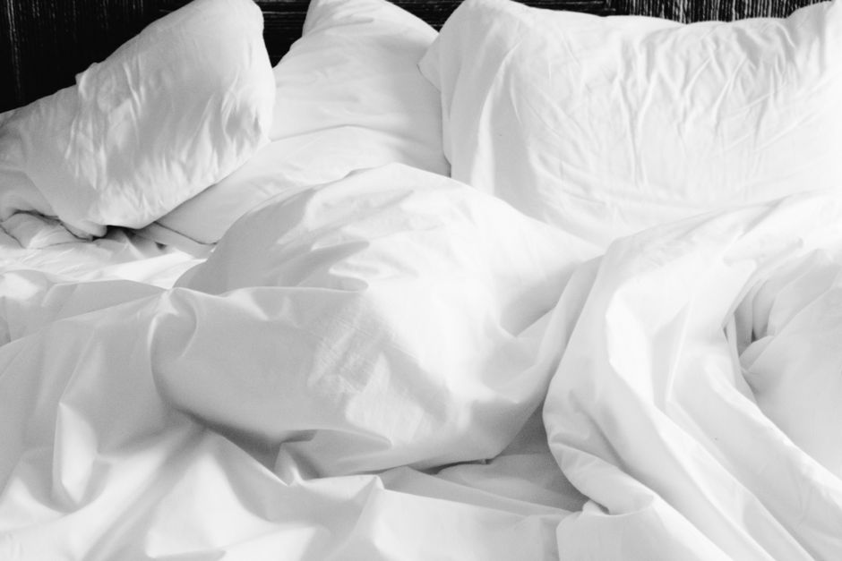 Bed Bugs — What’s That Bug in My Bed? A Homeowner’s