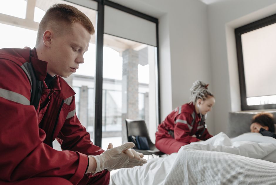 Bed Bugs — Bed Bug vs Carpet Beetle: The Visual Differences