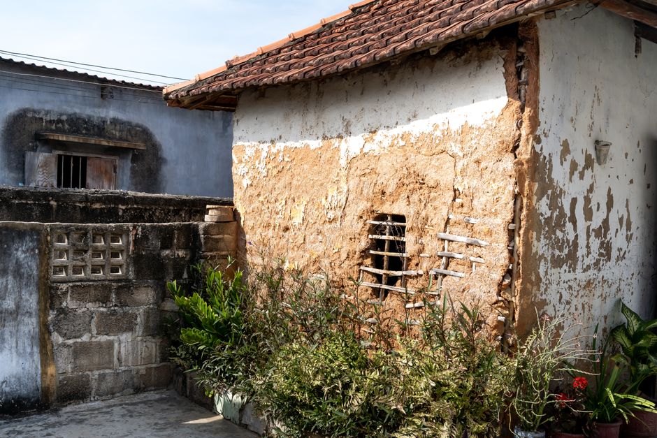 Termites — Subterranean Termites vs Drywood Termites: How to Identify