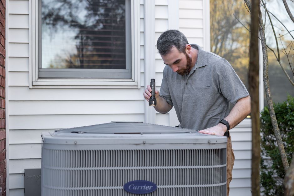 Other Pests — Found a Bug in Apartment? Talk to Your